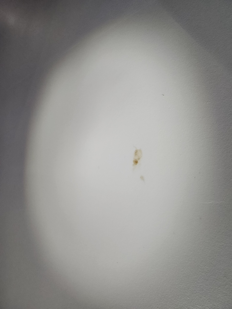 Ceiling stain from an active leak on 53rd St in Deerfoot Acres, NW Des Moines. The leak often isn't right above the stain; water runs along rafters first. We inspected the drywall and attic to trace it to the source. Thank you for trusting us! A Google review helps your neighbors find us.