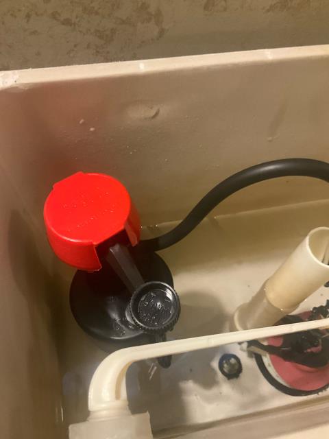 Toilet issue.