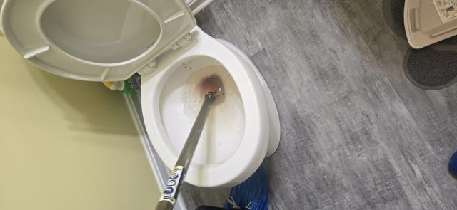 Cleared clogged toilet.