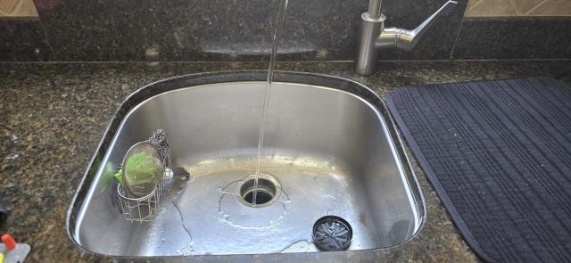 Cleared kitchen sink clog.