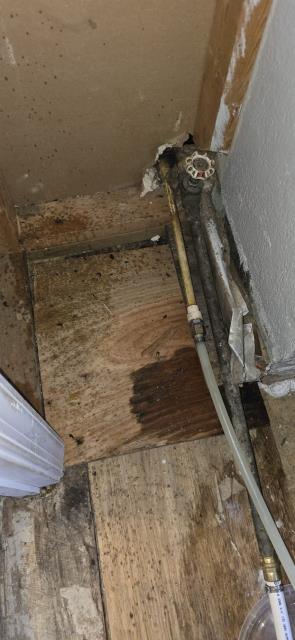 Repaired water line.