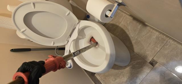 Cleared clogged toilet.