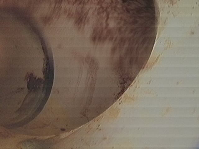 Camera and locate sanitary sewer.