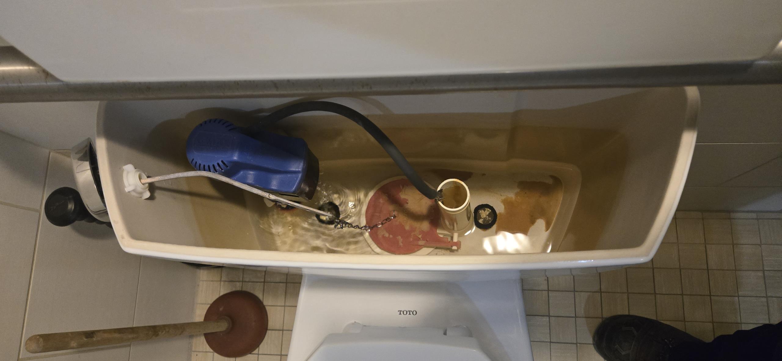 toilet issue