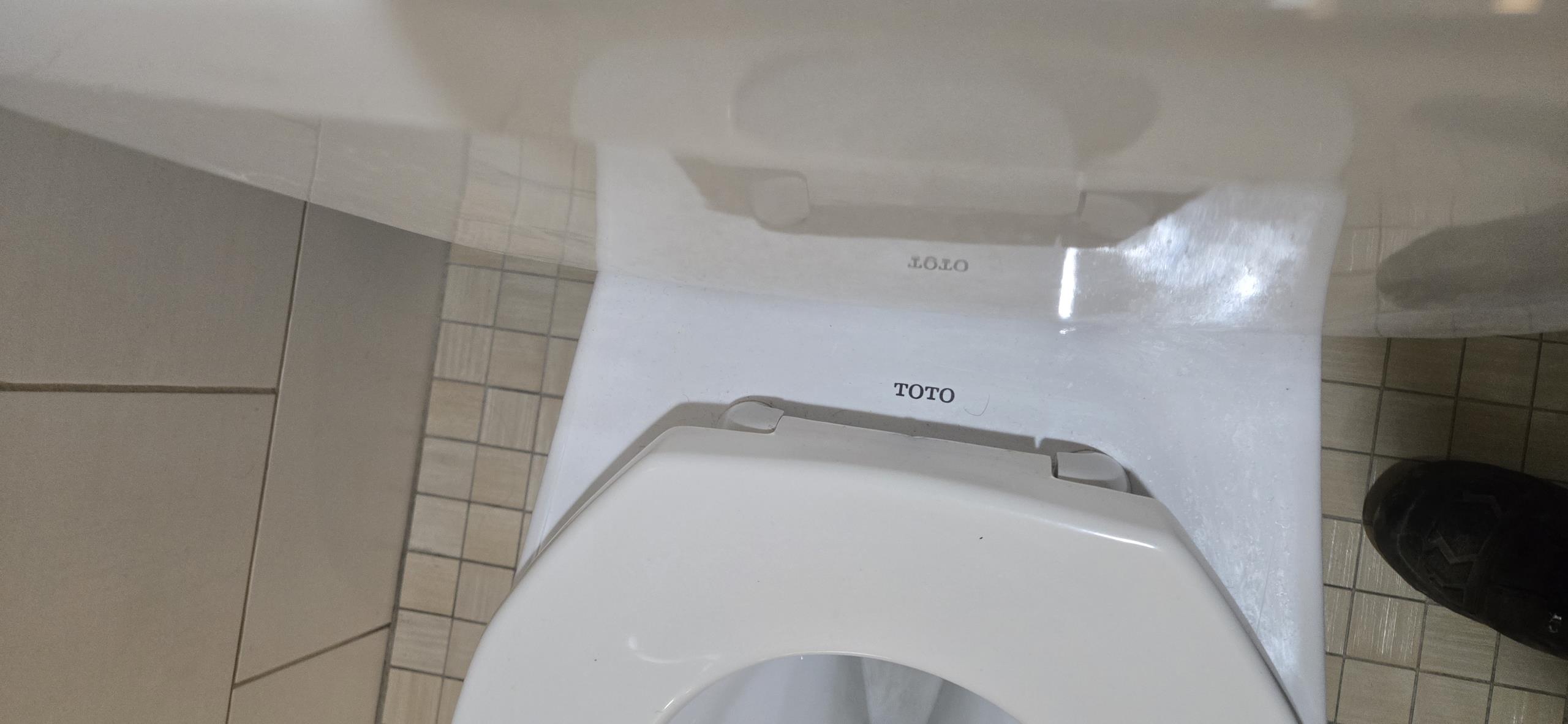 toilet issue