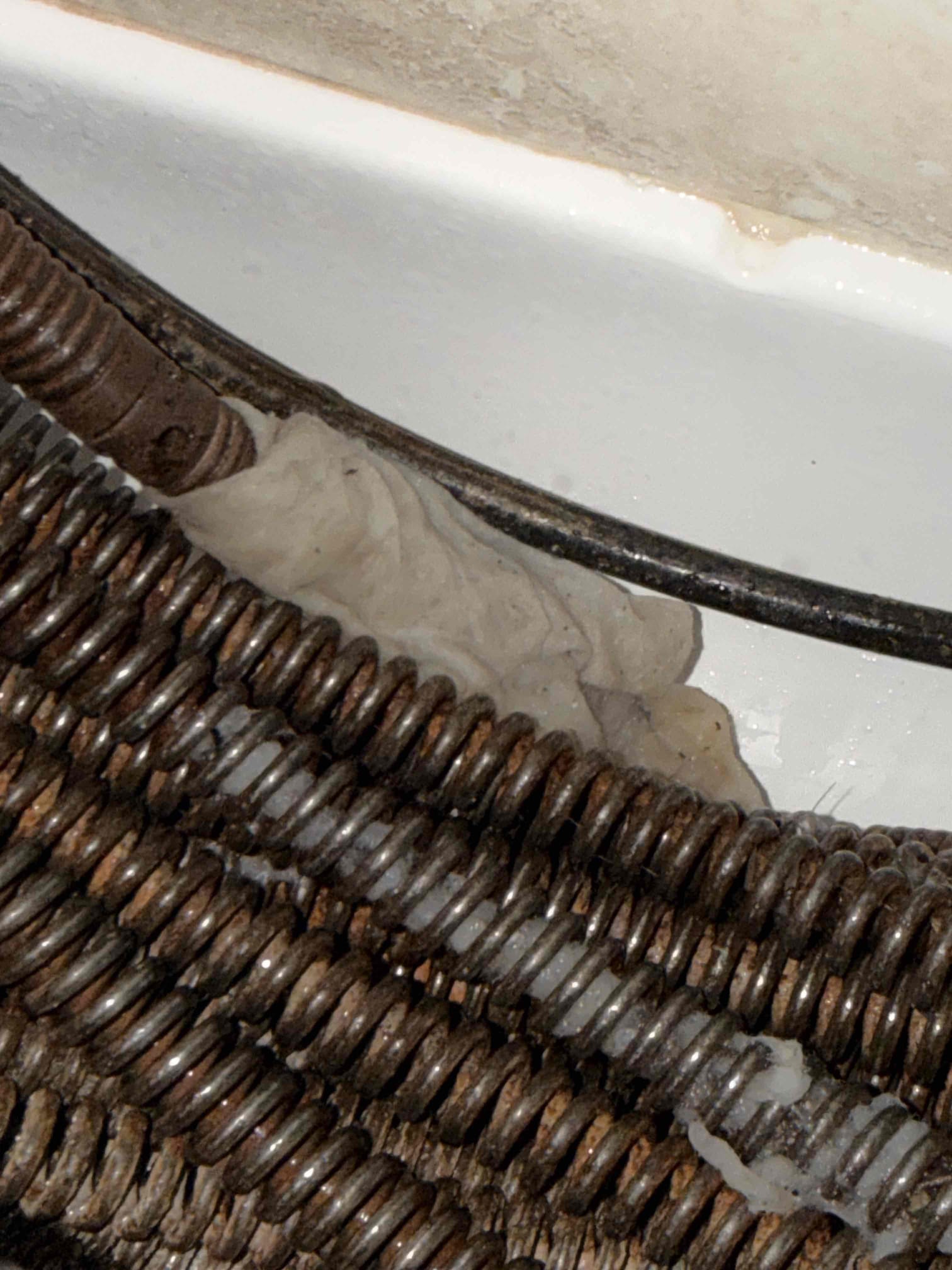 clogged toilet