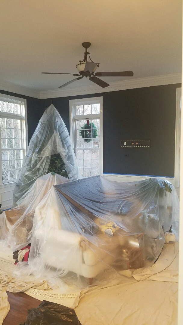 Had to cover the Christmas tree before we sanded texture off walls today for great customers in Glenwood Md. Wall color Benjamin Moores Polo Blue. #benjaminmoore #howardcountypainting