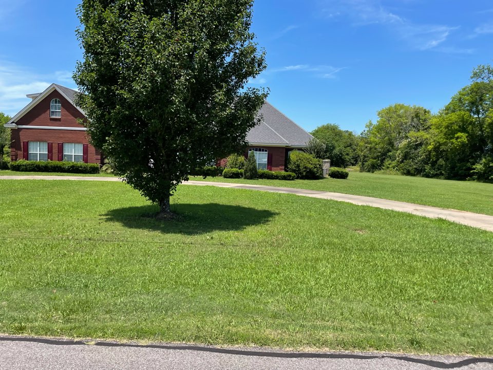 Montgomery, AL - Target Exterminating and Lawn Care. Montgomery Alabama weed Control and Fertilization company Montgomery, AL - Target Exterminating and Lawn Care. Montgomery Alabama weed Control and Fertilization company