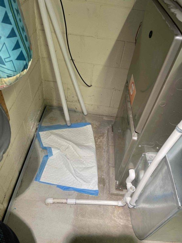 Performed inspection of non-operational antiquated furnace in basement location. Documented existing HVAC system with galvanized metal ductwork and identified necessary replacement components. Containment measures were installed to protect the work area during replacement process.