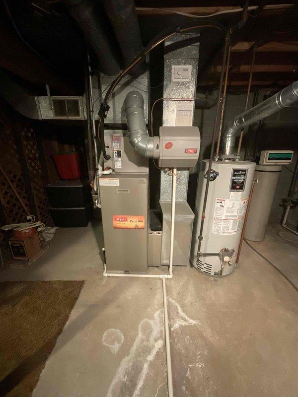 Inspected 19-year-old Bryant furnace with non-operational blower motor. System evaluation revealed end-of-life failure requiring complete replacement of the forced air furnace unit. Documented existing ductwork configuration and current installation parameters in basement mechanical room for proper sizing of replacement equipment.