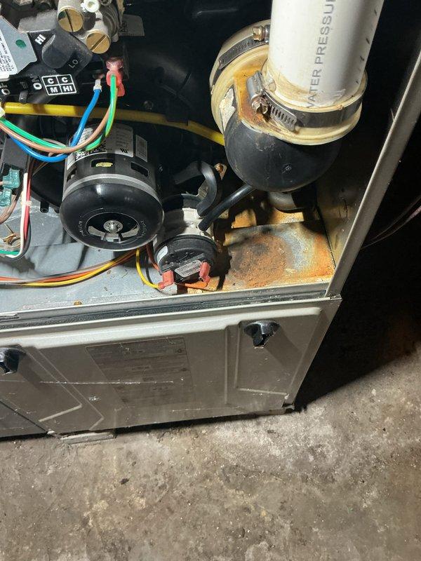 Performed routine maintenance on 4-year-old forced air furnace. Inspected electrical control board connections and wiring integrity. Noted and documented moderate rust formation on unit base plate indicating possible moisture exposure. Replaced dirty air filter with significant dust accumulation to improve system efficiency and airflow.