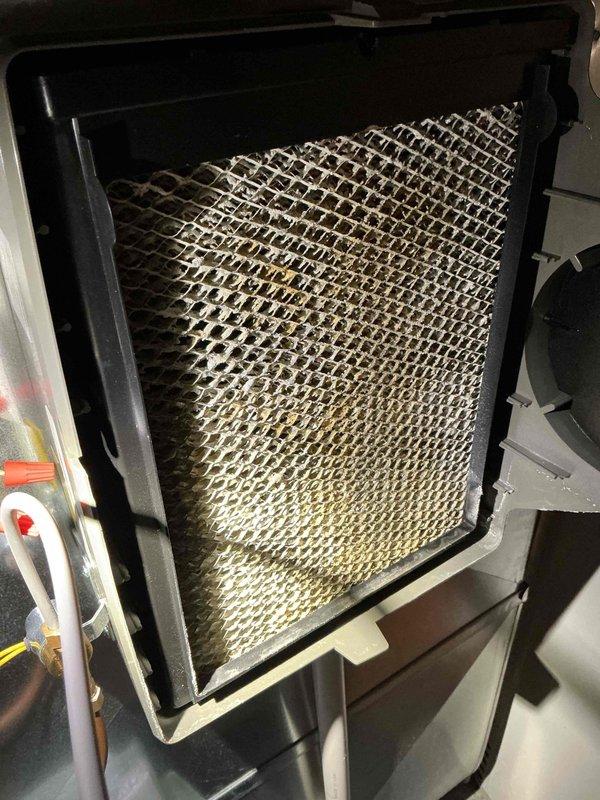 Responded to service call for leaking humidifier and performed routine furnace maintenance on 6-year-old equipment installed in 2020. Inspected furnace blower assembly, motor connections, electrical wiring, and control board for proper operation. Examined humidifier components and plumbing connections to identify source of water leak. Verified air filtration system and replaced or cleaned filter as needed. Completed comprehensive inspection of all HVAC components including gas connections, ductwork, and safety controls to ensure system operates efficiently and safely.