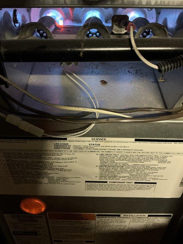 Completed comprehensive preventive maintenance inspection on gas furnace system. Verified proper ignition and burner operation with all burners displaying appropriate blue flame patterns, inspected heat exchanger for integrity, tested blower motor assembly functionality, and examined all electrical connections and control board components for secure operation. Unit operational and performing within manufacturer specifications upon completion of maintenance service.