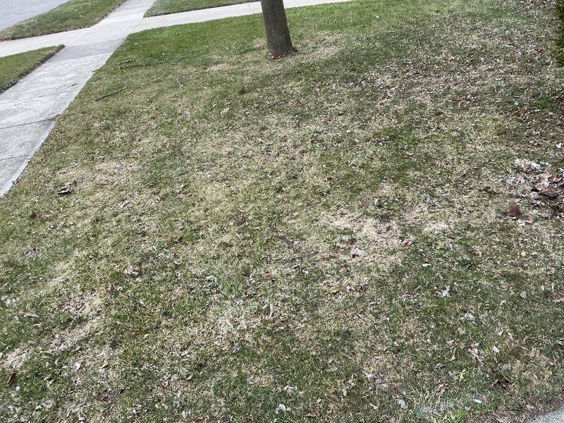 Completed full HVAC system installation including a 70,000 BTU gas furnace and 2.5 ton air conditioning unit. Installed new chimney liner for proper venting of the heating system and reconnected all necessary utilities. All required mechanical permits were obtained prior to installation, and the system was tested and operational upon completion.