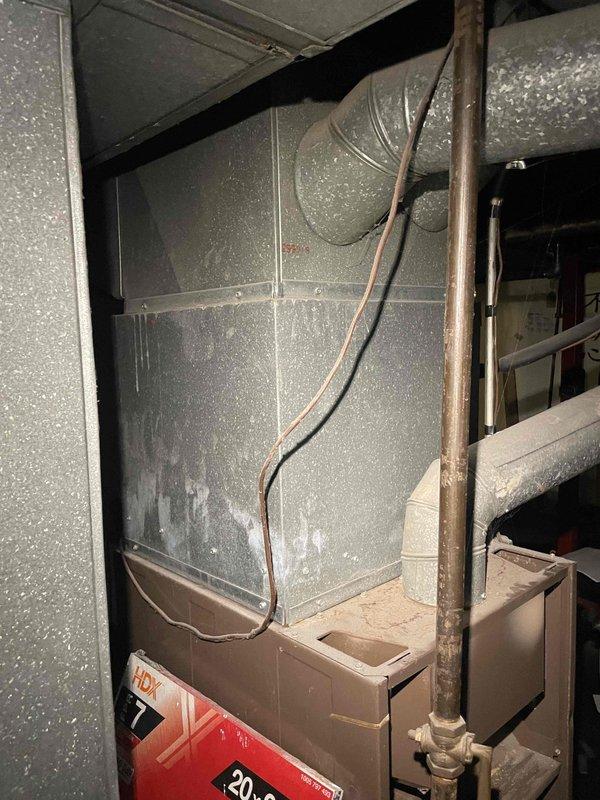 Conducted on-site assessment of existing 53-year-old furnace system originally installed in 1973 for replacement quotation. Evaluated current heating equipment condition, documented existing ductwork connections, refrigerant lines, and condensate drainage components in basement mechanical room, and captured photographic documentation of installation environment to provide comprehensive replacement estimate.