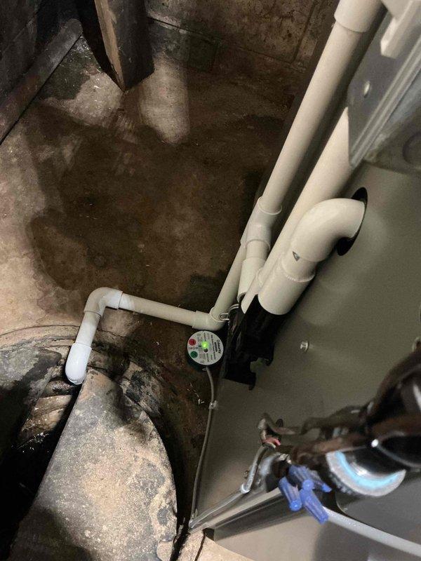 Responded to no-heat call on 3-month-old furnace unit. Upon inspection, found furnace unresponsive with no blower movement. Diagnosed faulty pressure switch preventing ignition sequence initiation. Verified proper venting configuration on PVC exhaust and intake pipes. Replaced defective pressure switch, tested all safety controls, and confirmed proper furnace operation through complete heating cycle. Unit now functioning normally under both part and labor warranty coverage.