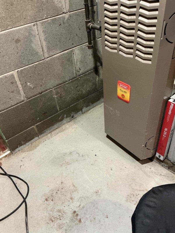 Responded to emergency service call for basement flooding and inoperative water heater with extinguished pilot light. Upon arrival, assessed flooded basement conditions and confirmed pilot light was out on tanked water heater. Conducted visual inspection of HVAC system control panel and furnace unit as requested. Discovered extensive corrosion on circuit board with white, blue-green, and turquoise crystalline deposits affecting electrical connections, relays, and terminal blocks throughout lower and middle sections of board. Documented corrosion damage affecting multiple components and connection points. Relit pilot light on water heater and verified proper ignition. Scheduled separate maintenance appointment for comprehensive furnace and air conditioning system evaluation due to severity of corrosion findings and need for additional service time.