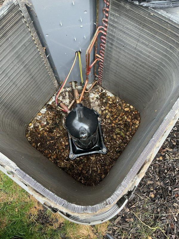 Completed annual cooling maintenance on HVAC system. Inspected internal components including refrigerant lines, compressor connections, and electrical wiring. Removed accumulated debris from condensing unit base and verified all mechanical components operating within normal parameters.