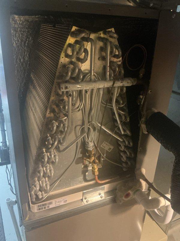 Performed annual cooling maintenance on Bryant HVAC system. Conducted comprehensive inspection of furnace and air handler assembly, documenting equipment condition through interior and exterior photography. Removed air handler access panel to inspect evaporator coil, which showed proper fin alignment and no visible debris accumulation. Verified refrigerant line connections and insulation integrity on copper tubing. Confirmed drainage pan condition and proper placement. Inspected electrical connections and wiring bundles within cabinet. Verified PVC intake and exhaust venting configuration and proper termination. System operational and ready for cooling season.