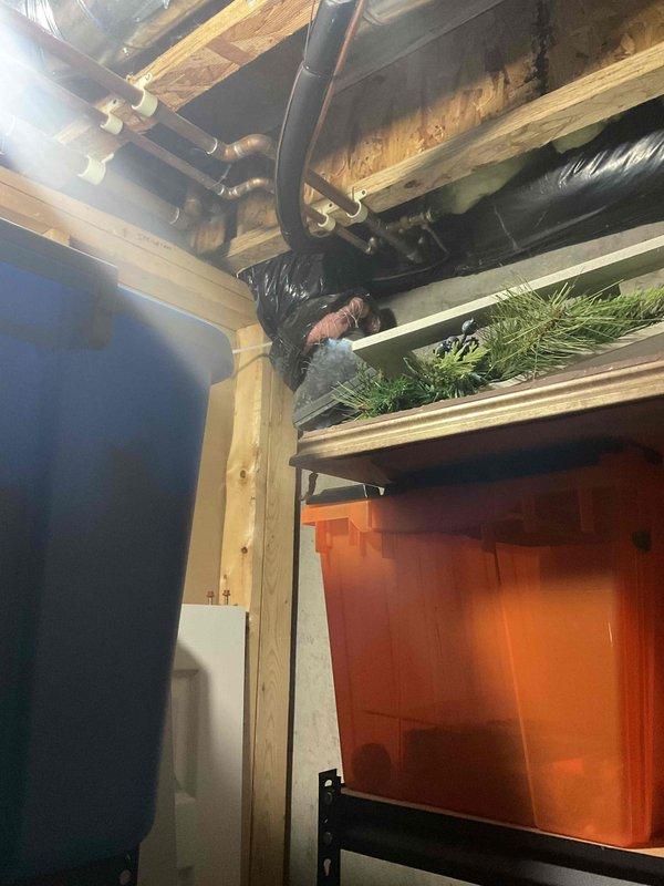 Conducted full system assessment for air conditioning replacement estimate due to unit surging and high energy consumption. Evaluated existing HVAC system location and assessed feasibility of relocating equipment during replacement. Documented current installation in unfinished utility area with exposed framing and existing copper line set routing, then mapped proposed line set path through finished basement living space to accommodate potential system relocation. Also evaluated water heater for replacement estimate as requested.