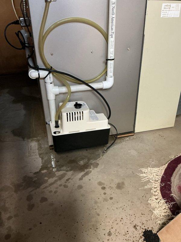 Responded to service call for leaking condensate pump on 2014 HVAC system located in basement. Upon arrival, found significant water staining and moisture accumulation on concrete floor surrounding condensate pump unit, indicating active leak. Inspected blue/white condensate pump assembly with black reservoir base and associated PVC discharge piping. Identified source of leak and performed necessary repairs to pump connections and drainage system. Verified proper pump operation, confirmed all tubing and pipe connections were secure, and tested discharge flow. System restored to normal operation with no further leakage observed at time of departure.