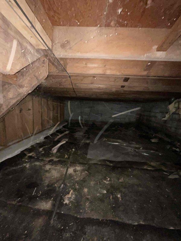 Conducted comprehensive site assessment for full HVAC system replacement in residential property with 1990s-era furnace and no existing air conditioning. Evaluated 16-year-old heating equipment located in basement mechanical room, documenting deteriorated ductwork insulation with multiple tears and exposed metallic surfaces requiring replacement. Inspected crawl space conditions, noting accumulated debris and compromised insulation materials that will need remediation during installation. Photographed existing equipment configuration, including aged air handling unit on concrete blocks, associated ductwork routing, and structural access points. Provided detailed estimate for complete furnace replacement and new air conditioning system installation to address immediate replacement needs.