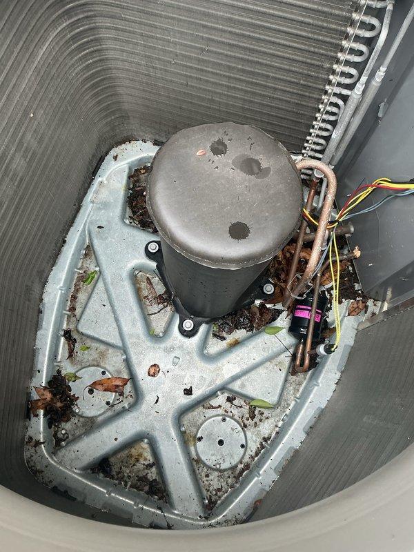Completed annual cooling maintenance visit on HVAC system. Replaced air filter with MERV 8 rated filter and installed two humidifier pads as part of scheduled preventative maintenance. Inspected outdoor condensing unit which showed significant accumulation of debris, organic matter, and dirt on base pan and mounting plate. Noted visible corrosion and rust spots on interior components. Verified refrigerant lines and electrical connections were intact. Documented equipment condition through photographs. Delivered additional filters for future use as part of ongoing maintenance program.