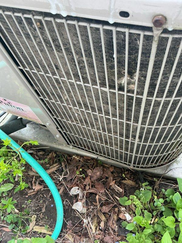 Completed annual preventive maintenance on residential split system air conditioning unit. Inspected indoor air handler components including drain lines, condensate pan, and refrigerant piping; all connections secure with no visible leaks. Performed outdoor condenser unit maintenance including coil cleaning to remove accumulated dirt and debris from fins, cleared vegetation growth from base perimeter, and verified proper airflow through protective grille. System operational and ready for cooling season.