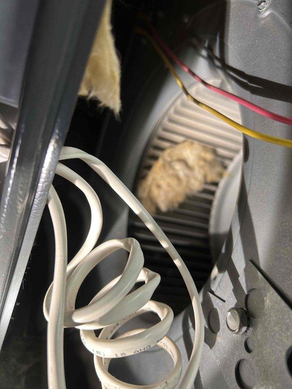 Responded to service call for furnace making unusual noise when heating system activated. Performed diagnostic inspection of 10+ year old furnace unit located in basement. Upon inspection, accessed internal components including burner assembly, blower motor, gas valve, and control board. Examined blower wheel and found accumulated debris on fan cage surfaces, which was determined to be the source of operational noise. Cleaned blower assembly and verified all electrical connections, gas valve operation, and control board functionality. System tested and confirmed proper operation with noise issue resolved.
