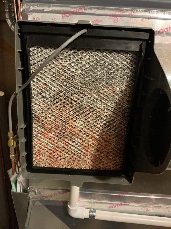 Completed comprehensive ComfortGuard Maintenance Package on residential HVAC system. Removed and inspected heavily contaminated air filter showing significant dust and debris accumulation across mesh surface, with concentrated particulate matter indicating extended service period. Performed standard system maintenance procedures including component inspection, cleaning of critical areas, and filter replacement to restore optimal airflow and system efficiency.