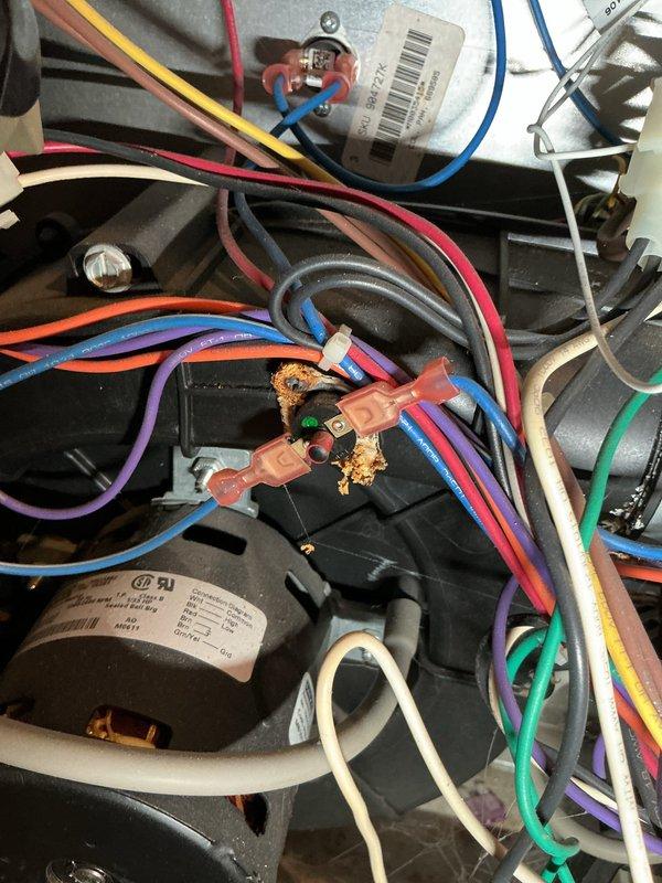 # No Heat Call - Forced Air Furnace

Responded to no heat call on 10-year-old forced air furnace that would not turn on after switch activation. Customer reported burnt smell coming from unit. Upon arrival, confirmed furnace was completely non-operational with no power to system.

## Diagnosis

Opened furnace access panel and performed visual inspection of internal components. Identified significant heat damage and corrosion on main wire harness at motor connection point. Corroded junction showed orange-brown discoloration indicating overheating and electrical failure. Multiple wire terminals at harness connection exhibited deterioration from prolonged heat exposure. Burnt odor traced to damaged wiring harness assembly.

## Work Performed

Disconnected power to unit at service switch for safety. Documented existing condition with photographs showing corroded wire harness and damaged connections. Removed compromised wire harness assembly from blower motor. Cleaned connection points and 