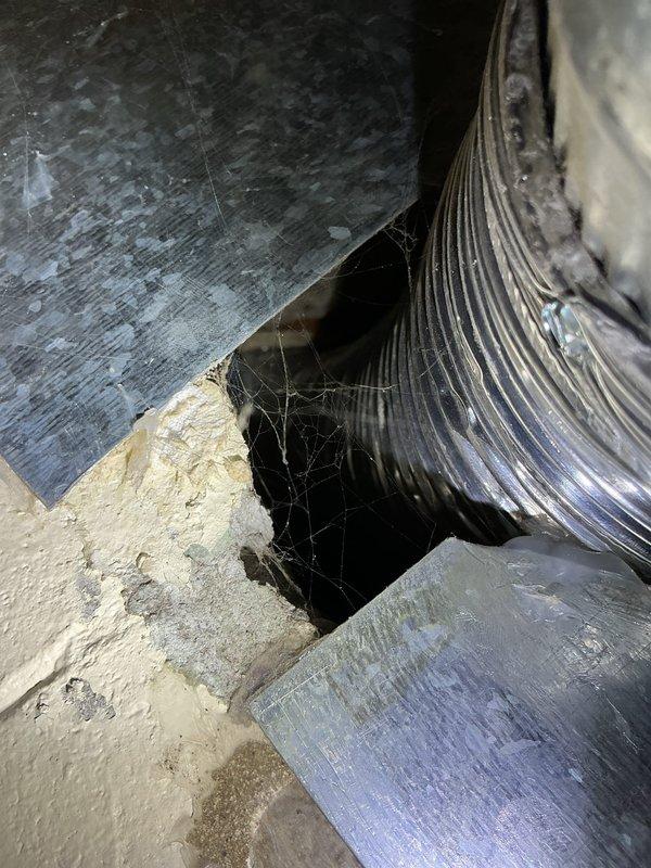 Responded to no hot water complaint at 55-year-old residential property. Upon inspection, diagnosed failed tanked water heater with suspected sediment accumulation affecting heating element performance. Assessed existing gas-fired water heater installation in basement utility area, including exhaust flue system with multiple elbows, copper supply lines with isolation valves (red and white handled ball valves), and associated piping infrastructure. Verified complete loss of hot water throughout home. Documented existing equipment condition and plumbing configuration via photographs showing flexible ductwork in attic/crawlspace area and basement mechanical room with water heater, flue pipe, and shut-off valve assembly. Provided assessment and recommendations for water heater repair or replacement options to restore hot water service.