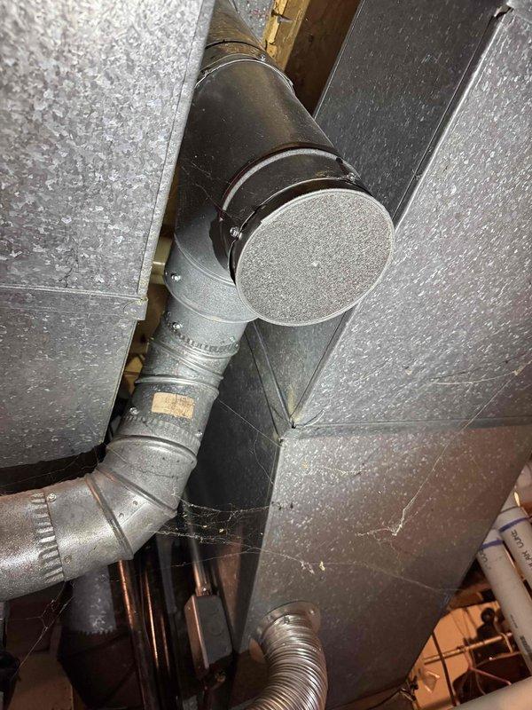Responded to no hot water complaint at residential property. Upon arrival, inspected 7-year-old Bradford White tanked water heater in basement utility area. Customer reported unit was producing hot water the previous morning but only cold water by evening, indicating sudden failure. Diagnosed issue and completed necessary repairs to restore hot water functionality. Unit tested and confirmed operational before departure.