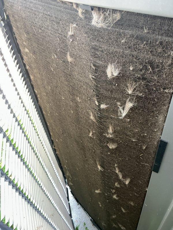 Completed annual HVAC maintenance inspection on residential forced-air heating system with air handler configuration. Replaced heavily contaminated pleated air filter that showed significant dust and debris accumulation, which was restricting airflow and reducing system efficiency. Inspected furnace cabinet, ductwork connections, gas line, condensate drain system, and PVC venting components, confirming all equipment is operating within normal parameters.