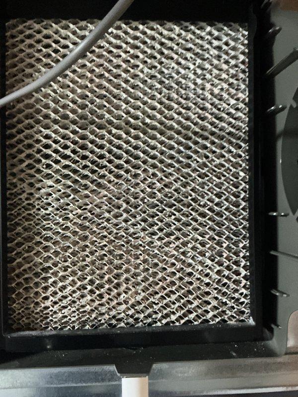 Completed annual cooling maintenance on HVAC system. Inspected evaporator coil and found heavy accumulation of dust and debris throughout the fin assembly, significantly restricting airflow. Documented condition of copper refrigerant lines showing normal oxidation patina, verified all tube connections and brazed joints for integrity, and photographed internal components including coil assembly and associated piping for maintenance records.