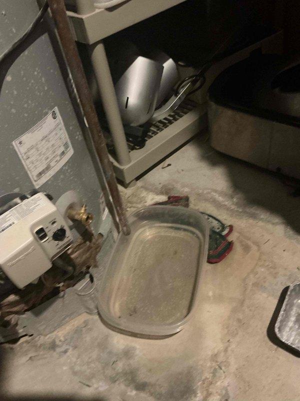 Responded to service call for water heater leaking from pipe connection. Upon arrival, performed visual inspection of tanked water heater unit located in basement utility area. Identified active leak originating from pipe fitting at top of tank. Assessed water heater condition and examined all visible plumbing connections, including copper and PVC piping. Documented equipment with photographs showing water heater installation, surrounding mechanical systems, and floor conditions including drain pan placement. Advised customer that tank components may be covered under manufacturer warranty and recommended verification of warranty status before proceeding with repairs. No parts installed or labor performed during this diagnostic visit.