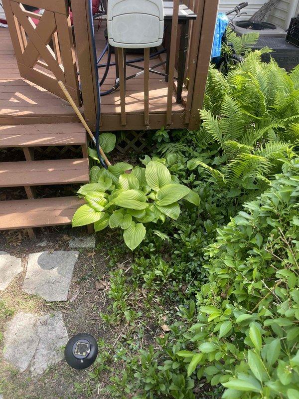 Conducted on-site assessment for whole-home air conditioning system replacement estimate. Evaluated existing ductwork infrastructure in basement utility area, including flexible duct routing and distribution system configuration. Documented outdoor unit location adjacent to residential deck area to determine equipment placement options and accessibility for new system installation.