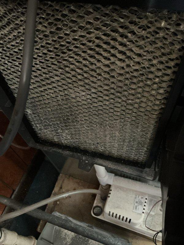 Completed annual preventative maintenance on air conditioning system. Inspected evaporator coil with honeycomb media filter showing moderate dust accumulation and discoloration, indicating normal seasonal use. Checked condensate pump operation and drainage system, noting mineral deposits in collection pan. Examined refrigerant lines, electrical connections, and control components for proper operation and secure mounting. All system components functioning within normal parameters upon completion of inspection.