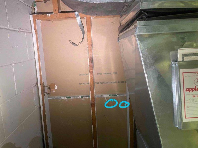 Conducted on-site evaluation of existing 20-year-old heating and cooling system for full replacement estimate. Inspected and photographed current Hager Fox furnace and air conditioning equipment in basement mechanical room. Documented existing system configuration, ductwork layout, and equipment specifications to provide comprehensive replacement options for complete HVAC system upgrade.