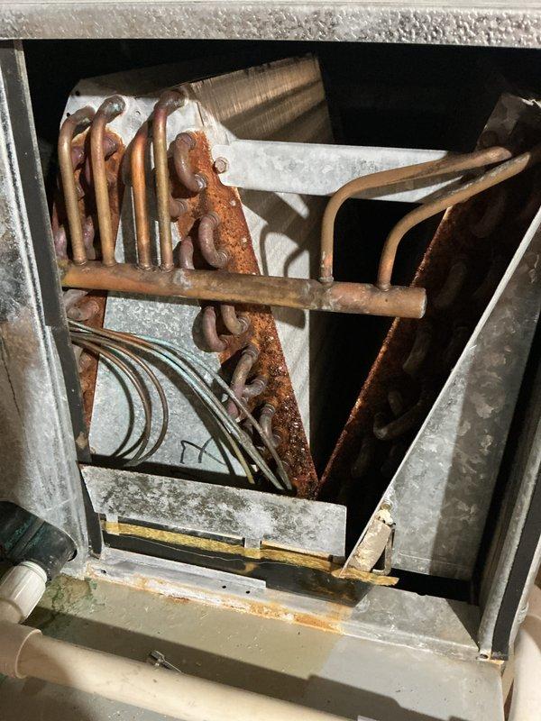 Completed routine Air Care Maintenance on Bryant HVAC system, including inspection of furnace and evaporator coil assembly. Noted significant oxidation and corrosion on copper evaporator coil with rust staining on cabinet housing, indicating age and moisture exposure. Replaced air filter at base unit and documented system condition with photographs for maintenance records.