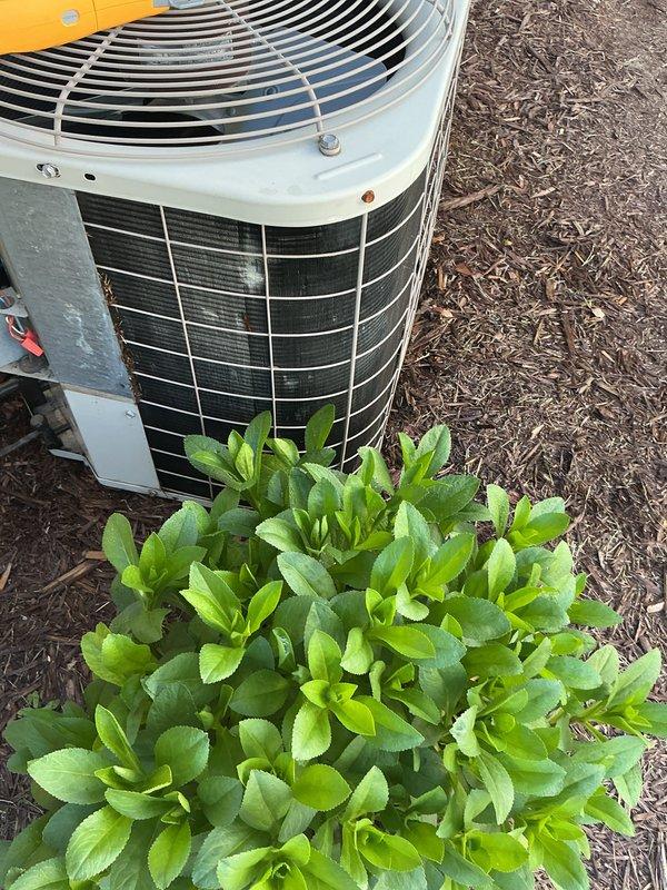 Completed annual Air Care Cooling maintenance on outdoor condensing unit. Performed system inspection, verified electrical readings at 94.60V, checked condenser operation, and documented equipment condition. Unit operating within normal parameters with proper airflow through coil and grille assembly.