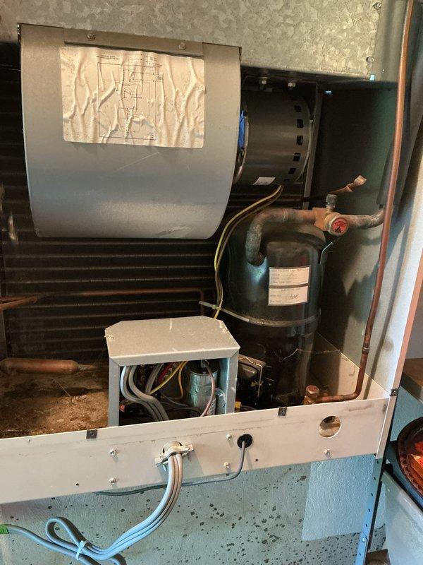Performed comprehensive AC tune-up on 20-year-old Payne wall unit located in utility closet. Inspected compressor, evaporator coils, blower assembly, refrigerant lines, and electrical connections; all components found operating within normal parameters. Cleaned condenser coils, verified proper refrigerant charge, tested capacitor and contactor function, checked condensate drainage system, and confirmed system cooling performance with no deficiencies noted at time of service.