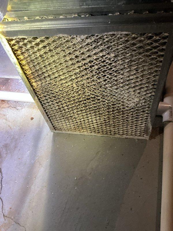 Completed annual cooling maintenance on Bryant HVAC system. Inspected evaporator coil and found heavy dust and debris accumulation throughout, particularly on the inlet side, which was restricting airflow and reducing system efficiency. Pulled and replaced air filter, inspected all accessible components including refrigerant lines, condensate drain system, and ductwork connections, and documented equipment condition with photographs for service records.