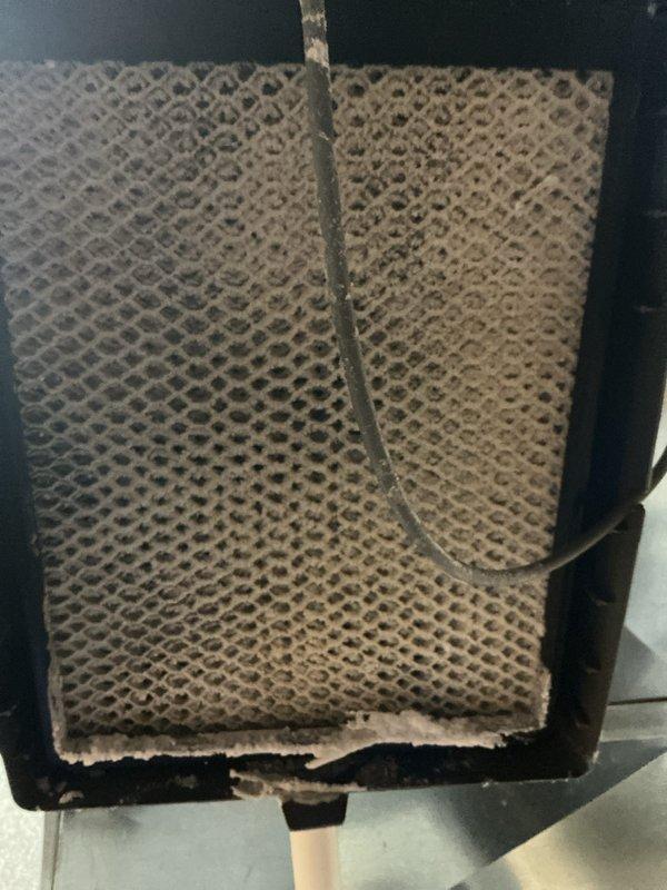 Completed annual heating and cooling maintenance inspection on residential HVAC system. Replaced humidifier evaporator pad, furnace air filter, and air scrubber UV bulb as part of routine preventive maintenance. Performed hot water tank inspection concurrently with the HVAC service, ensuring all equipment operating within normal parameters.