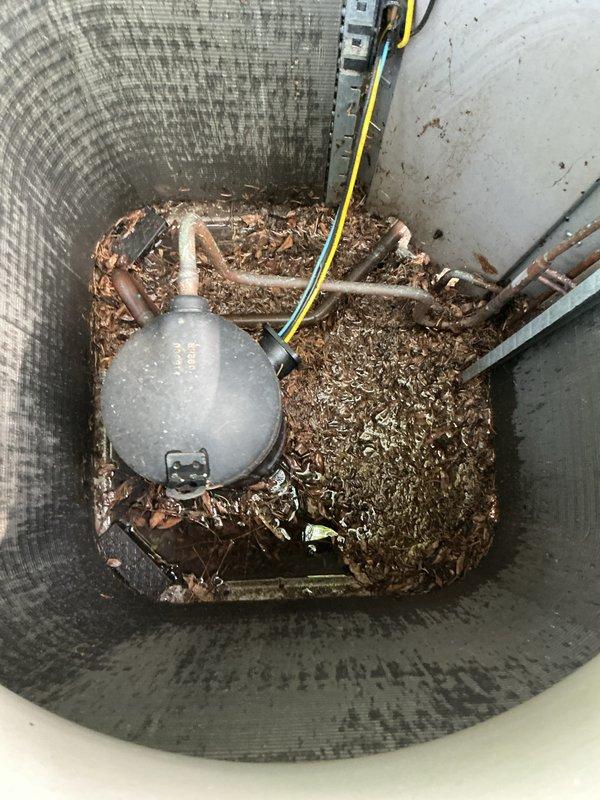 Completed routine maintenance on a 10-year-old Lennox central air conditioning system. Performed comprehensive inspection of indoor furnace unit and outdoor condenser unit. Removed significant accumulation of leaves, twigs, and organic debris from outdoor unit base that had collected around compressor and refrigerant lines. Inspected all copper refrigerant piping, electrical connections, and PVC condensate drainage system. Verified proper operation of all mechanical components including compressor, accumulator, and associated controls. Cleaned condenser unit interior to restore proper airflow and prevent potential system efficiency loss or component damage. System tested and confirmed operating within normal parameters with no issues identified requiring immediate attention.