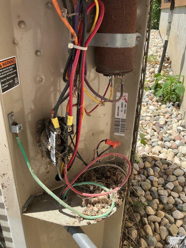 Responded to no cooling complaint on 22-year-old residential air conditioning system. Upon arrival, performed visual inspection of outdoor condenser unit and found significant debris accumulation inside cabinet affecting component operation. Opened unit and documented interior condition showing dirt and organic material buildup around base and electrical components. Assessed cylindrical motor/compressor assembly, electrical connections, and refrigerant line routing. Unit showed signs of age-related wear consistent with equipment exceeding typical service life. Photographed exterior installation against foundation wall with river rock landscaping and documented internal cabinet condition including wiring, capacitor connections, and debris accumulation. Completed diagnostic assessment and provided findings to customer regarding system condition and cooling failure. Given the advanced age of the equipment at over two decades old, discussed replacement options as most cost-effective long-t