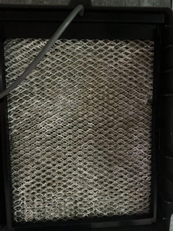 Completed annual cooling maintenance on residential HVAC system. Inspected furnace unit, ductwork, and all associated components in basement mechanical room. Examined air filter which showed moderate dust accumulation consistent with normal usage, and verified proper installation within metal frame housing. All equipment operating within normal parameters with no deficiencies noted during inspection.