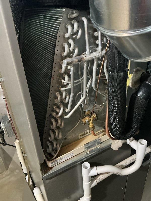 Completed annual HVAC maintenance on heat pump system. Performed comprehensive inspection of evaporator coil assembly, refrigerant lines, and condensate drainage system. Replaced two air filters and humidifier pad, which showed significant mineral buildup and dust accumulation. All components inspected and found operational. Reminded customer to schedule future maintenance appointment.
