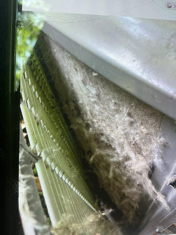 Responded to no-cooling call on 2-year-old Lennox system with frozen indoor unit and continuously running outdoor unit. Upon inspection, discovered severely restricted airflow due to heavily contaminated evaporator coil with significant dust, debris, and microbial growth accumulation, along with dirty air filter. Cleaned evaporator coil, replaced air filter, verified proper airflow restoration, and confirmed system returned to normal cooling operation with outdoor unit cycling appropriately.