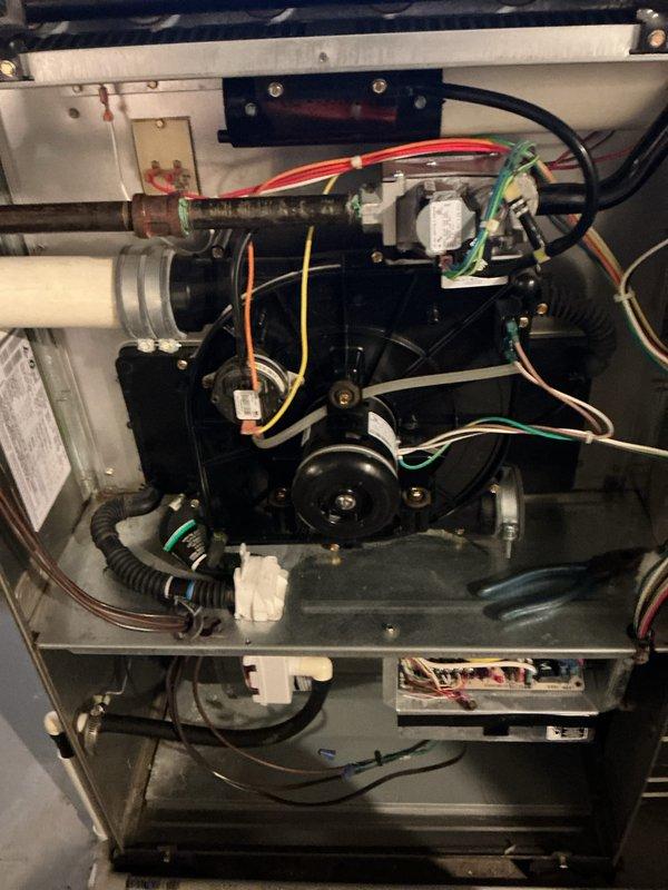Completed annual HVAC maintenance on Carrier furnace system. Inspected compressor unit, electrical connections, and condensate drainage system; verified all components operating within normal parameters. Documented equipment condition with photos showing proper wire connections, functional compressor mounting, and clear condensate lines.